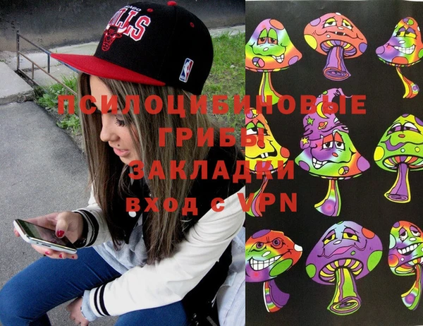 PSILOCYBIN Костерёво