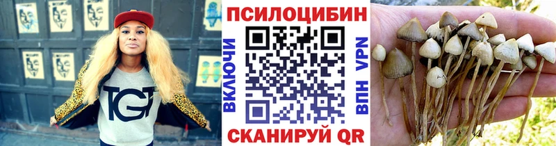Псилоцибиновые грибы Psilocybe  Купить  Саянск 